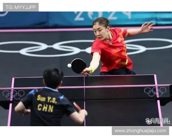 聚焦乒乓球：杭州乒乓球队如何提升速度与竞技水平的探索与实践