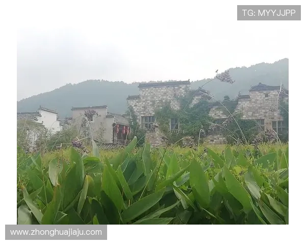 与伦比亚足球明星共度难忘时光的精彩瞬间与故事分享